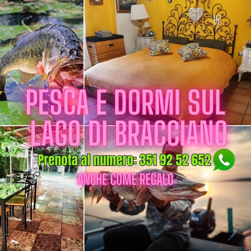 Dormi e pesca sul lago di Bracciano